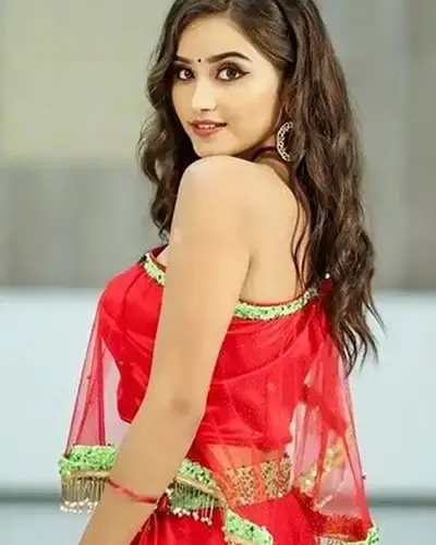 Call Girls Service Pappireddipatti