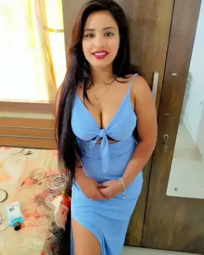 Pappireddipatti Escorts